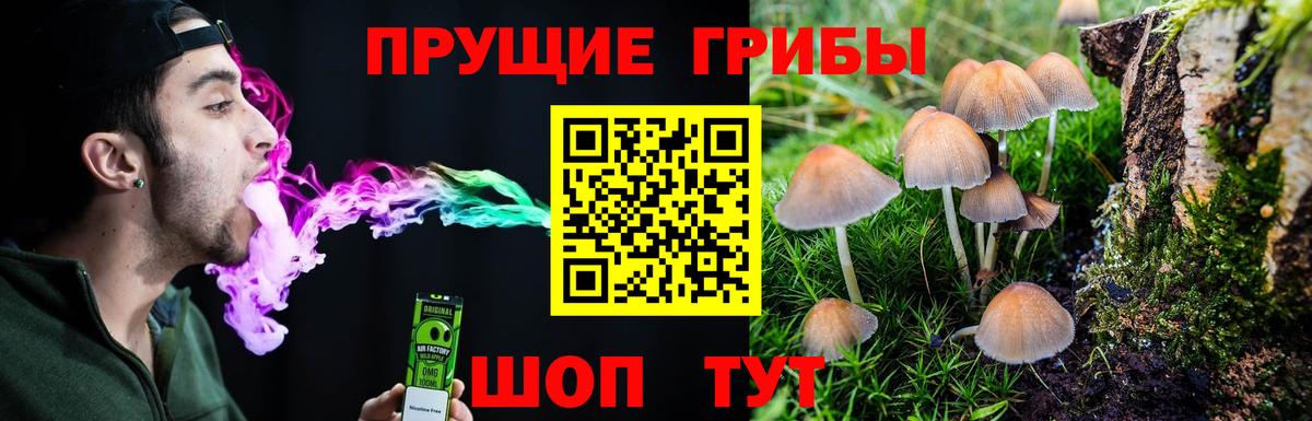 Псилоцибиновые грибы мухоморы Кимовск